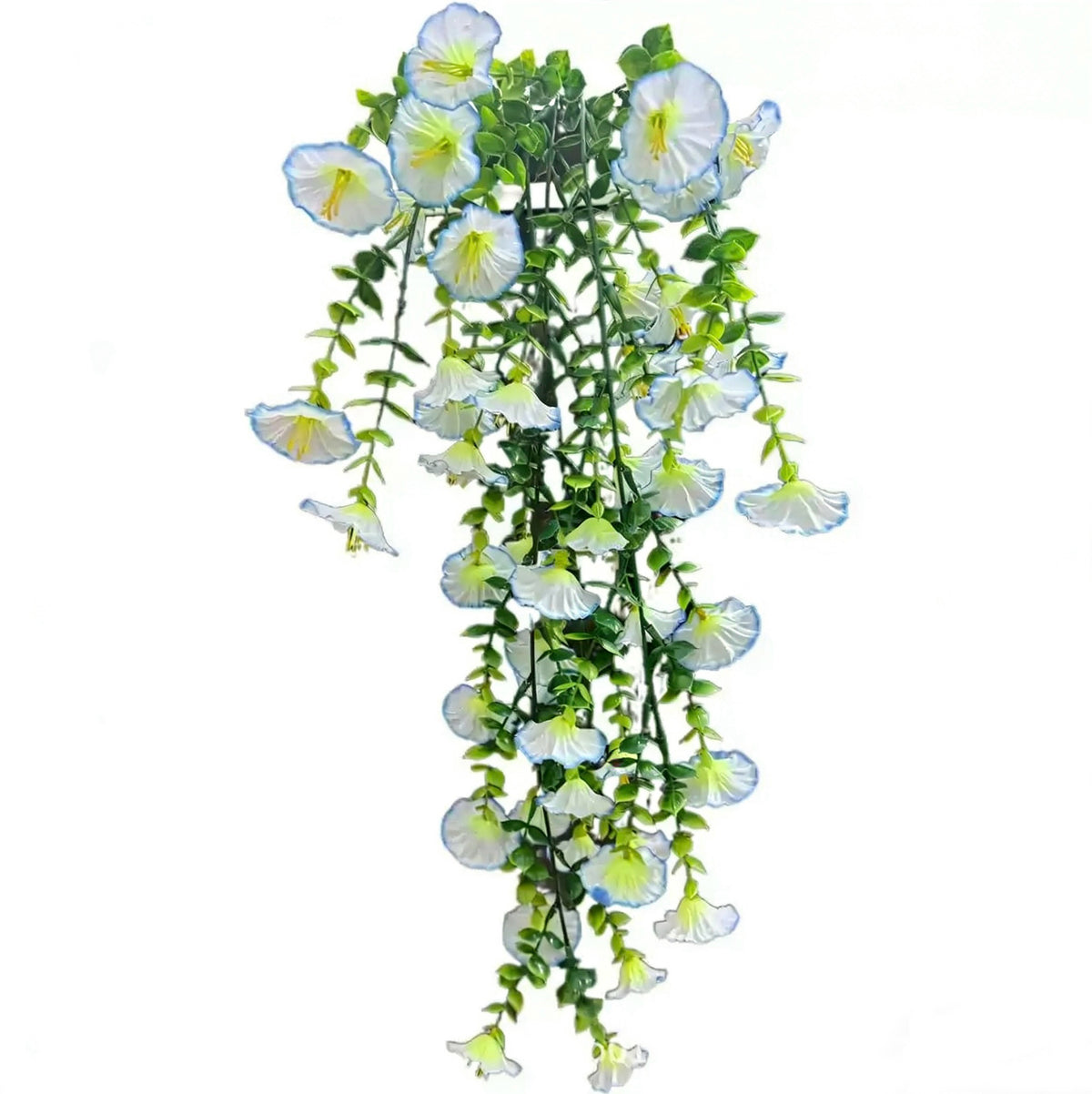 Perfect home garden decoration – hanging morning glory