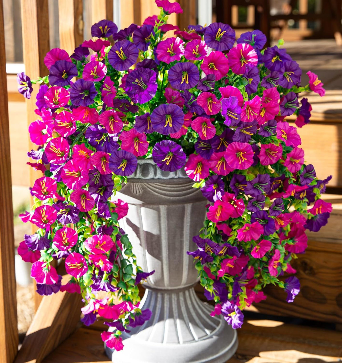 Perfect home garden decoration – hanging morning glory