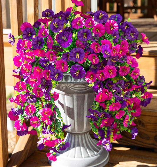 Perfect home garden decoration – hanging morning glory