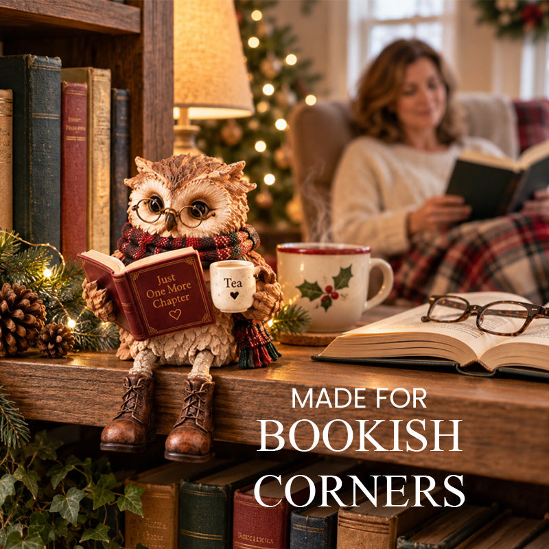 🦉📚 Book Lover Owl Shelf Sitter – Charming Décor for Cozy Reading Spaces! ✨🏡