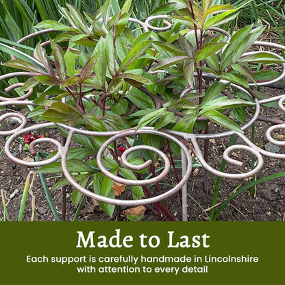 Invisible Plant Rings – Green Garden Supports for Flowers & Vegetables