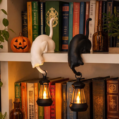 🐈‍⬛✨ Cute Cat Hook Shelf Decor – Adorable, Functional & Space-Saving! 🏠💡