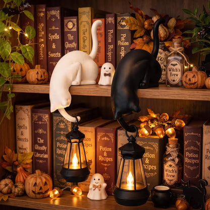 🐈‍⬛✨ Cute Cat Hook Shelf Decor – Adorable, Functional & Space-Saving! 🏠💡