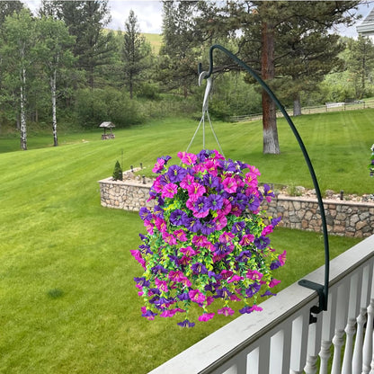 Perfect home garden decoration – hanging morning glory