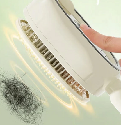 Electric Spray Air Cushion Massage Comb