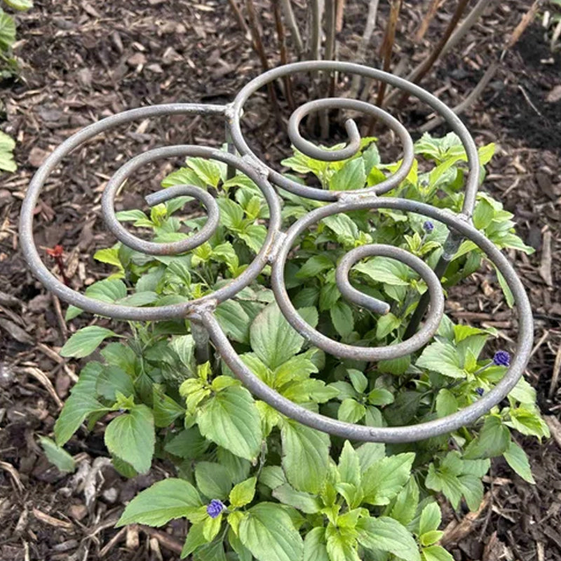 Invisible Plant Rings – Green Garden Supports for Flowers & Vegetables