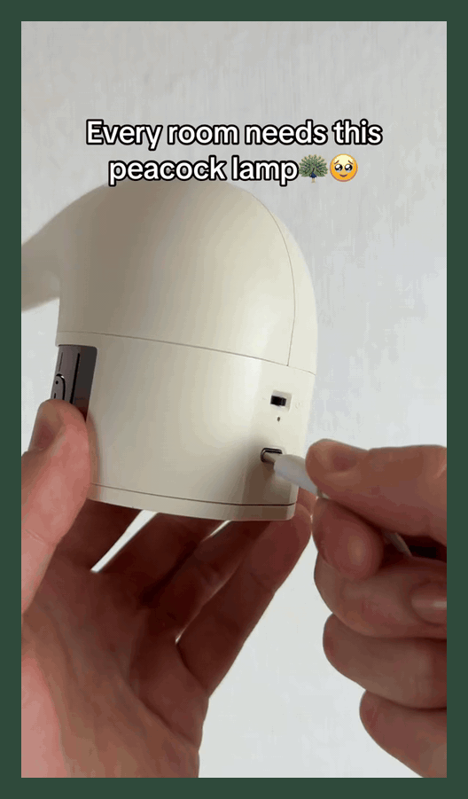 Peacock Projection Lamp Gift for Mom Girlfriend Friend Birthday